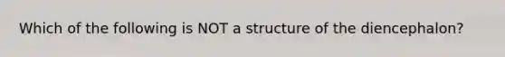 Which of the following is NOT a structure of the diencephalon?