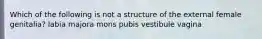 Which of the following is not a structure of the external female genitalia? labia majora mons pubis vestibule vagina