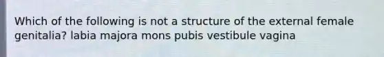 Which of the following is not a structure of the external female genitalia? labia majora mons pubis vestibule vagina