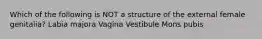 Which of the following is NOT a structure of the external female genitalia? Labia majora Vagina Vestibule Mons pubis