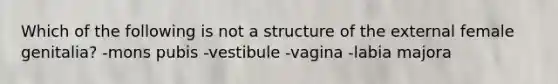 Which of the following is not a structure of the external female genitalia? -mons pubis -vestibule -vagina -labia majora