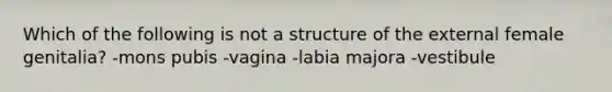 Which of the following is not a structure of the external female genitalia? -mons pubis -vagina -labia majora -vestibule