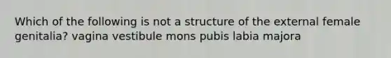 Which of the following is not a structure of the external female genitalia? vagina vestibule mons pubis labia majora