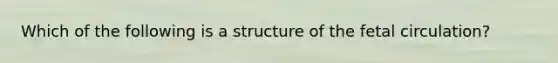 Which of the following is a structure of the fetal circulation?