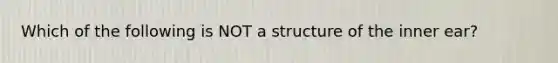 Which of the following is NOT a structure of the inner ear?