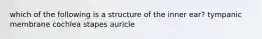 which of the following is a structure of the inner ear? tympanic membrane cochlea stapes auricle