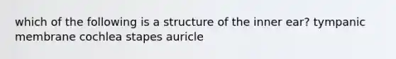 which of the following is a structure of the inner ear? tympanic membrane cochlea stapes auricle