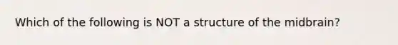 Which of the following is NOT a structure of the midbrain?