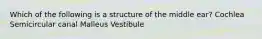 Which of the following is a structure of the middle ear? Cochlea Semicircular canal Malleus Vestibule