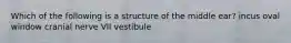 Which of the following is a structure of the middle ear? incus oval window cranial nerve VII vestibule