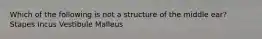 Which of the following is not a structure of the middle ear? Stapes Incus Vestibule Malleus