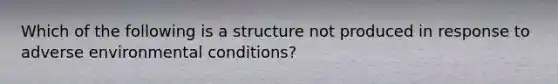 Which of the following is a structure not produced in response to adverse environmental conditions?