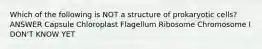 Which of the following is NOT a structure of prokaryotic cells? ANSWER Capsule Chloroplast Flagellum Ribosome Chromosome I DON'T KNOW YET