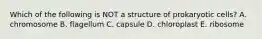Which of the following is NOT a structure of prokaryotic cells? A. chromosome B. flagellum C. capsule D. chloroplast E. ribosome