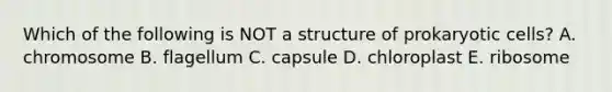 Which of the following is NOT a structure of prokaryotic cells? A. chromosome B. flagellum C. capsule D. chloroplast E. ribosome