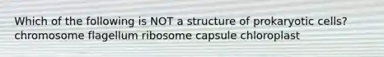 Which of the following is NOT a structure of prokaryotic cells? chromosome flagellum ribosome capsule chloroplast