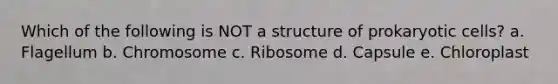 Which of the following is NOT a structure of prokaryotic cells? a. Flagellum b. Chromosome c. Ribosome d. Capsule e. Chloroplast