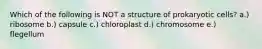 Which of the following is NOT a structure of prokaryotic cells? a.) ribosome b.) capsule c.) chloroplast d.) chromosome e.) flegellum