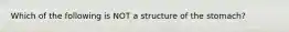 Which of the following is NOT a structure of the stomach?