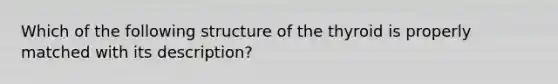 Which of the following structure of the thyroid is properly matched with its description?