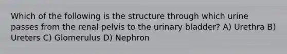 Which of the following is the structure through which urine passes from the renal pelvis to the urinary bladder? A) Urethra B) Ureters C) Glomerulus D) Nephron