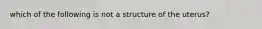 which of the following is not a structure of the uterus?