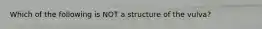 Which of the following is NOT a structure of the vulva?