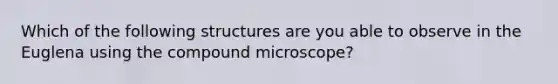 Which of the following structures are you able to observe in the Euglena using the compound microscope?