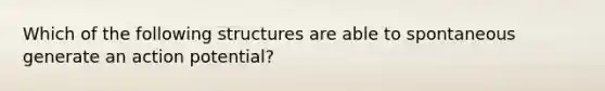 Which of the following structures are able to spontaneous generate an action potential?