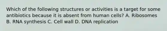 Which of the following structures or activities is a target for some antibiotics because it is absent from human cells? A. Ribosomes B. RNA synthesis C. Cell wall D. DNA replication