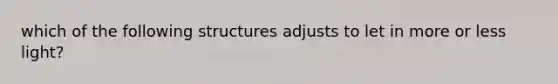 which of the following structures adjusts to let in more or less light?