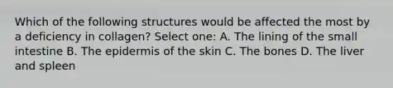 Which of the following structures would be affected the most by a deficiency in collagen? Select one: A. The lining of the small intestine B. The epidermis of the skin C. The bones D. The liver and spleen