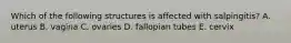 Which of the following structures is affected with salpingitis? A. uterus B. vagina C. ovaries D. fallopian tubes E. cervix