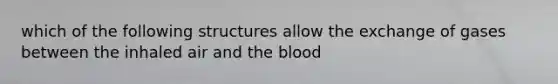 which of the following structures allow the exchange of gases between the inhaled air and <a href='https://www.questionai.com/knowledge/k7oXMfj7lk-the-blood' class='anchor-knowledge'>the blood</a>