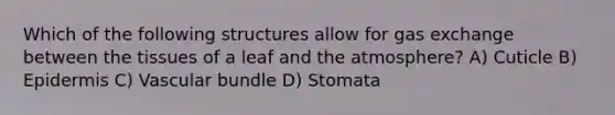 Which of the following structures allow for gas exchange between the tissues of a leaf and the atmosphere? A) Cuticle B) Epidermis C) Vascular bundle D) Stomata