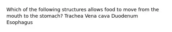 Which of the following structures allows food to move from the mouth to the stomach? Trachea Vena cava Duodenum Esophagus