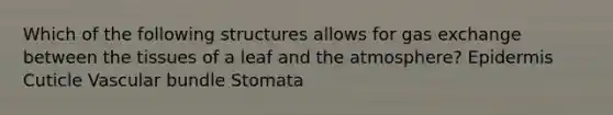 Which of the following structures allows for gas exchange between the tissues of a leaf and the atmosphere? Epidermis Cuticle Vascular bundle Stomata