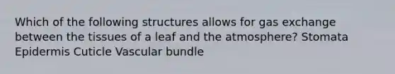 Which of the following structures allows for gas exchange between the tissues of a leaf and the atmosphere? Stomata Epidermis Cuticle Vascular bundle