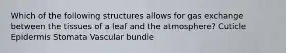 Which of the following structures allows for gas exchange between the tissues of a leaf and the atmosphere? Cuticle Epidermis Stomata Vascular bundle