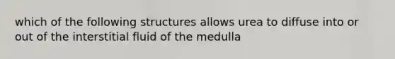 which of the following structures allows urea to diffuse into or out of the interstitial fluid of the medulla