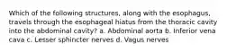 Which of the following structures, along with the esophagus, travels through the esophageal hiatus from the thoracic cavity into the abdominal cavity? a. Abdominal aorta b. Inferior vena cava c. Lesser sphincter nerves d. Vagus nerves