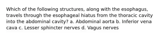 Which of the following structures, along with the esophagus, travels through the esophageal hiatus from the thoracic cavity into the abdominal cavity? a. Abdominal aorta b. Inferior vena cava c. Lesser sphincter nerves d. Vagus nerves