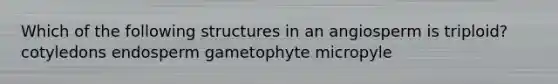 Which of the following structures in an angiosperm is triploid? cotyledons endosperm gametophyte micropyle