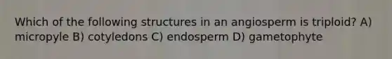 Which of the following structures in an angiosperm is triploid? A) micropyle B) cotyledons C) endosperm D) gametophyte