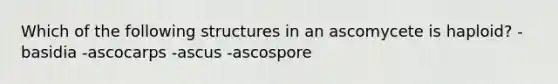 Which of the following structures in an ascomycete is haploid? -basidia -ascocarps -ascus -ascospore