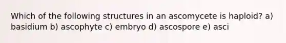 Which of the following structures in an ascomycete is haploid? a) basidium b) ascophyte c) embryo d) ascospore e) asci