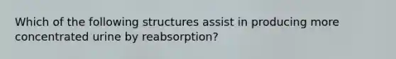 Which of the following structures assist in producing more concentrated urine by reabsorption?