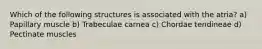 Which of the following structures is associated with the atria? a) Papillary muscle b) Trabeculae carnea c) Chordae tendineae d) Pectinate muscles