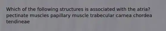 Which of the following structures is associated with the atria? pectinate muscles papillary muscle trabecular carnea chordea tendineae