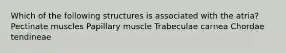 Which of the following structures is associated with the atria? Pectinate muscles Papillary muscle Trabeculae carnea Chordae tendineae